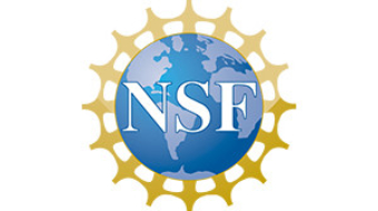 NSF-300